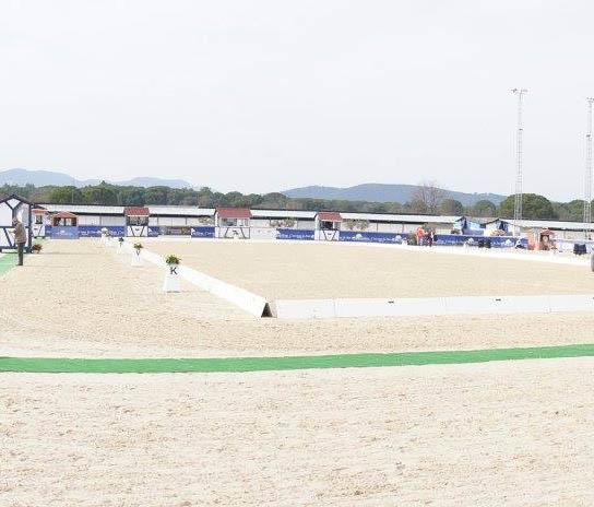 Christoph Umbach - Dressage Rider